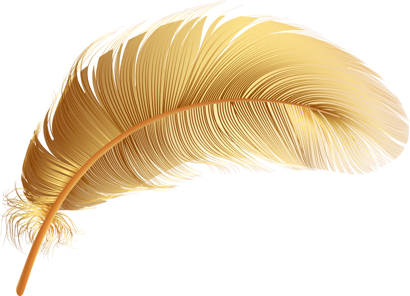 Gold feather